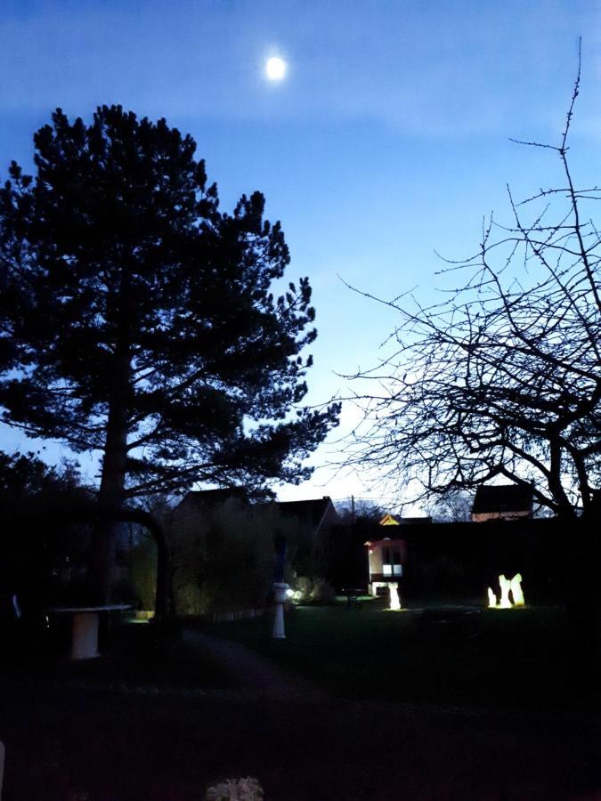 Le Fond De La Biche Bed & Breakfast Goutroux Bagian luar foto
